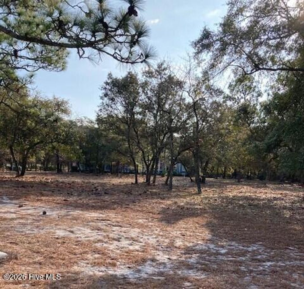 Photo of 595 Maritime Way SW, Supply, NC 28462 (MLS # 100548259)