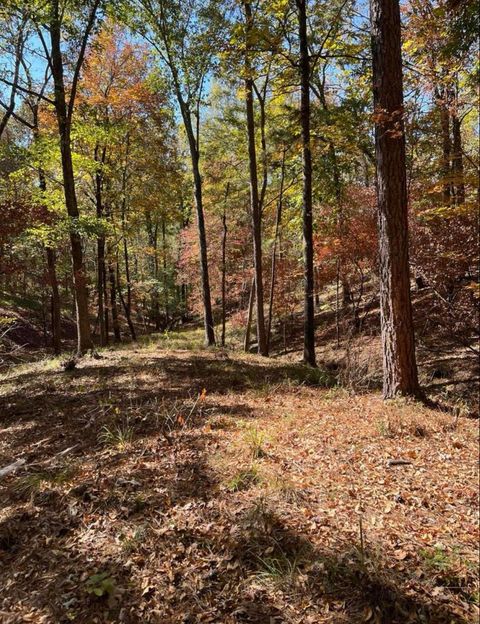 Vacant Land For Sale - 00 Ballentine Court<br/> North Augusta, SC 29860
