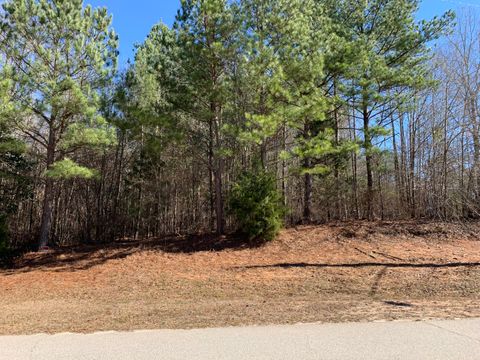 Vacant Land For Sale - 822 Matts Lane<br/> Harlem, GA 30814
