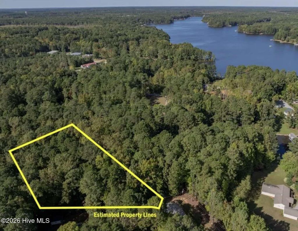 Photo of 0 Locust Court, Littleton, NC 27850 (MLS # 100574379)