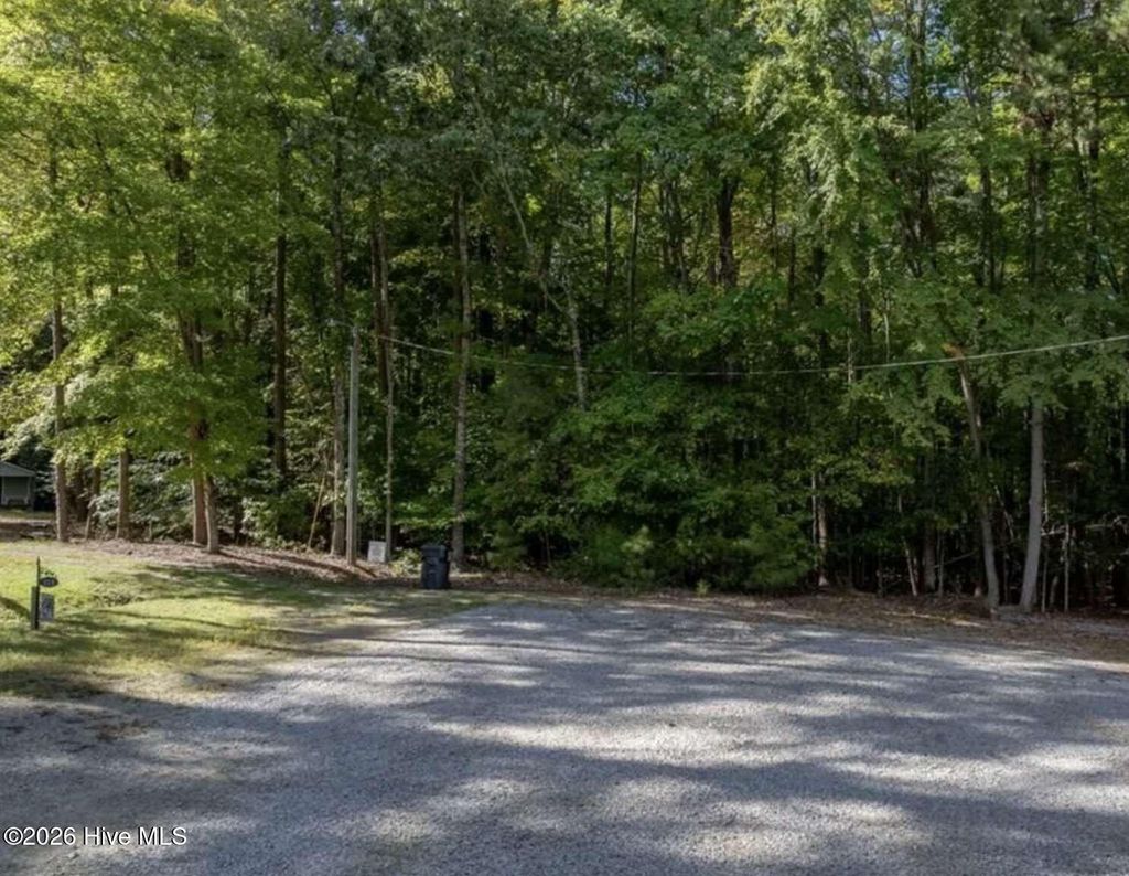 Photo of 0 Locust Court, Littleton, NC 27850 (MLS # 100574379)