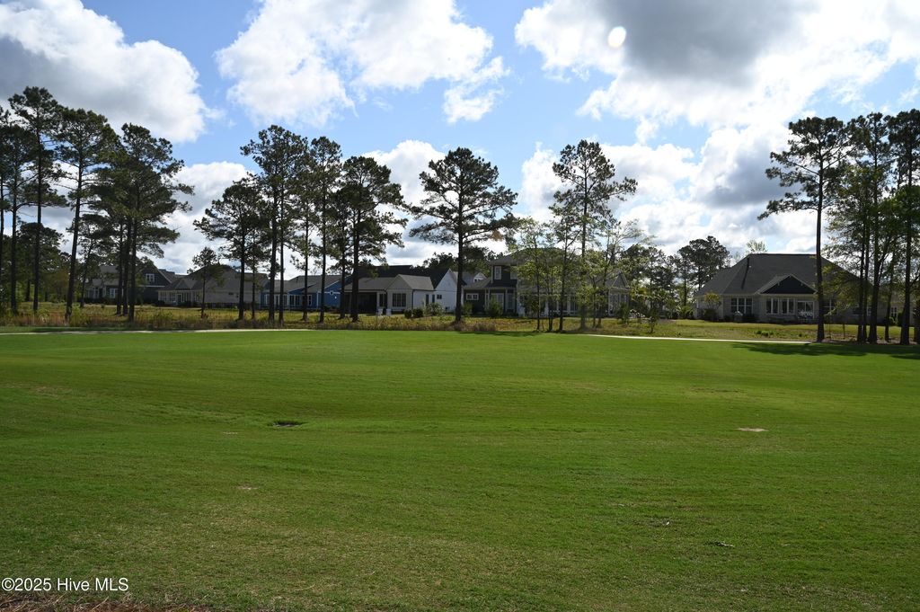 Photo of 2511 E Timber Crest Drive NE, Leland, NC 28451 (MLS # 100499995)