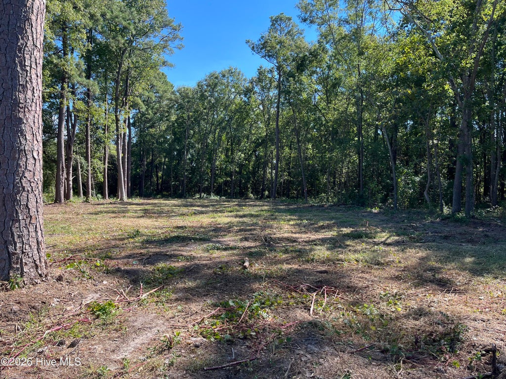 Photo of 2 N Gill Street, Laurinburg, NC 28352 (MLS # 100609661)