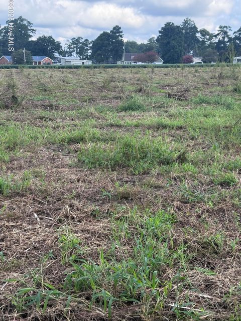 Vacant Land For Sale - Fulton Avenue<br/> Bath, NC 27808