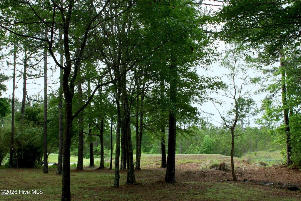 Photo of 6408 Castlebrook Way SW, Ocean Isle Beach, NC 28469 (MLS # 100568114)