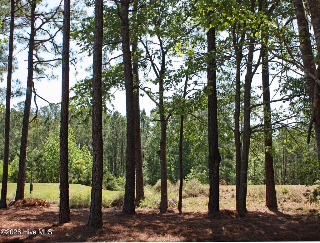 Photo of 6408 Castlebrook Way SW, Ocean Isle Beach, NC 28469 (MLS # 100568114)