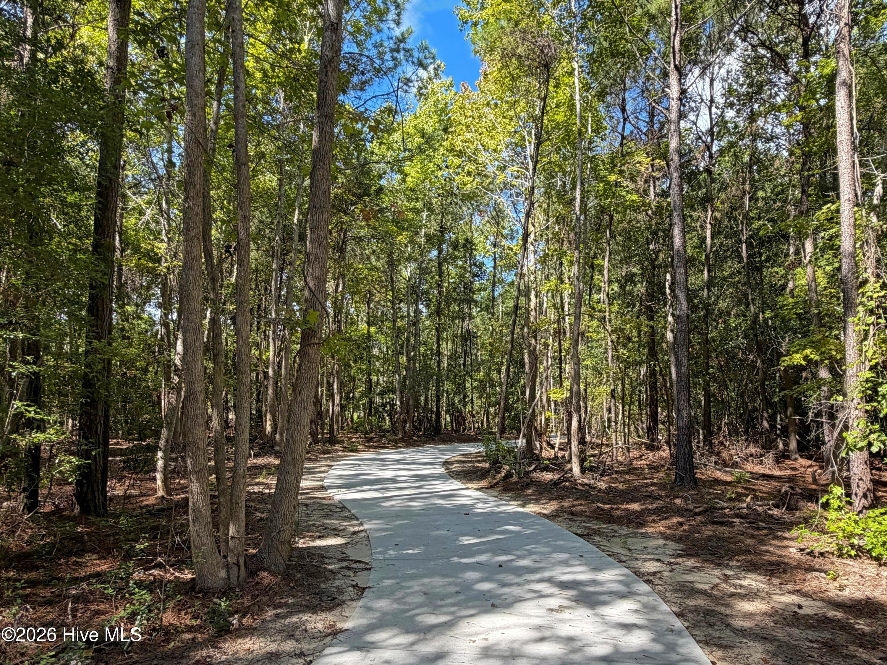 228 Leatherback Way