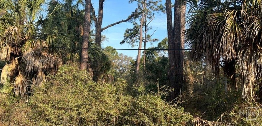 Photo of 1109 Solomon Avenue, Tybee Island, GA 31328 (MLS # SA366889)