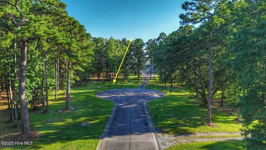 Photo of 955 Southern Plantation Drive N, Oriental, NC 28571 (MLS # 100519132)