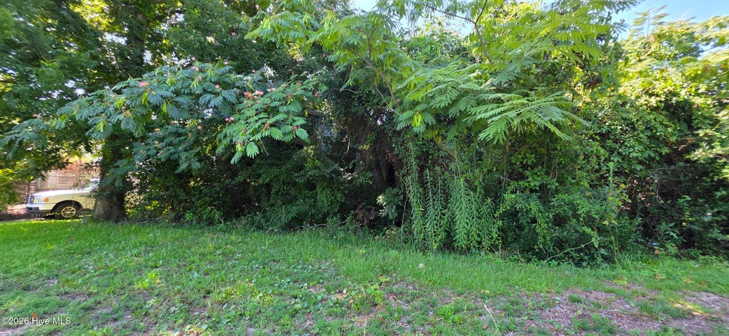 Photo of 131012 Bridges Street, Morehead City, NC 28557 (MLS # 100589197)