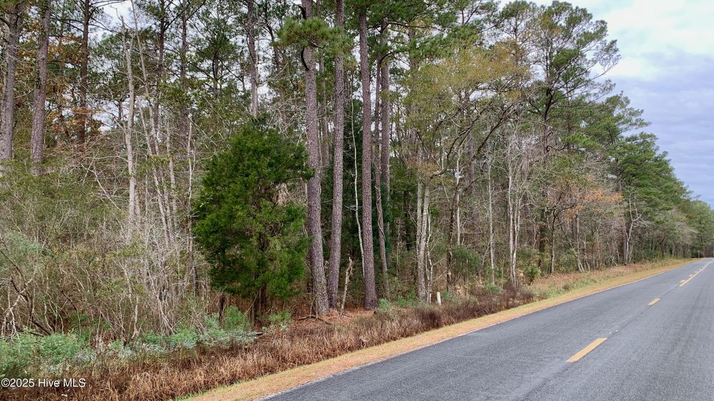 Photo of 0 Bell Point Road, Merritt, NC 28556 (MLS # 100545272)