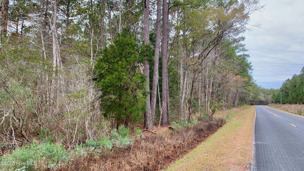 Photo of 0 Bell Point Road, Merritt, NC 28556 (MLS # 100545272)
