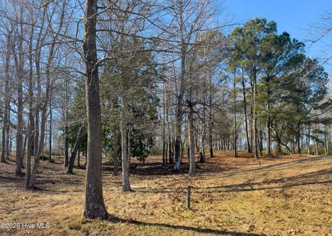 Tiny photo for 17 Redd Banks Lane, Hampstead, NC 28443 (MLS # 100551638)