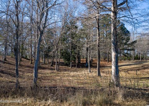 Tiny photo for 17 Redd Banks Lane, Hampstead, NC 28443 (MLS # 100551638)