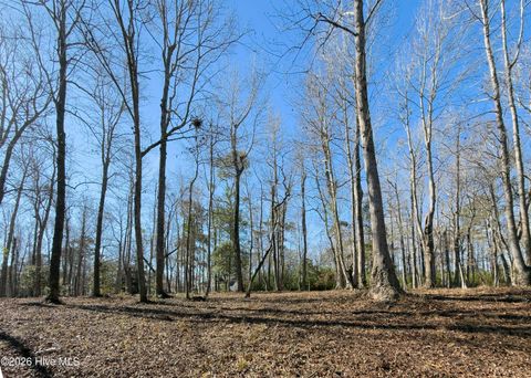 Tiny photo for 17 Redd Banks Lane, Hampstead, NC 28443 (MLS # 100551638)