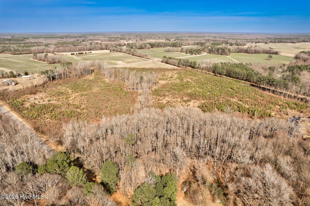 Photo of 00 Ethridge Road, Whitakers, NC 27891 (MLS # 100556912)