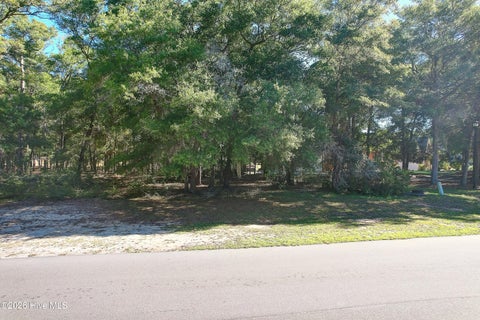 Photo of 1928 Redfish Run SW, Supply, NC 28462 (MLS # 100611746)