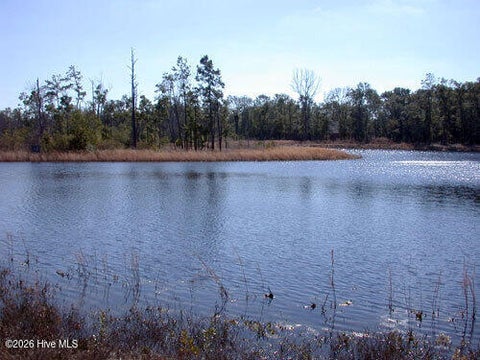 Tiny photo for 1928 Redfish Run SW, Supply, NC 28462 (MLS # 100611746)