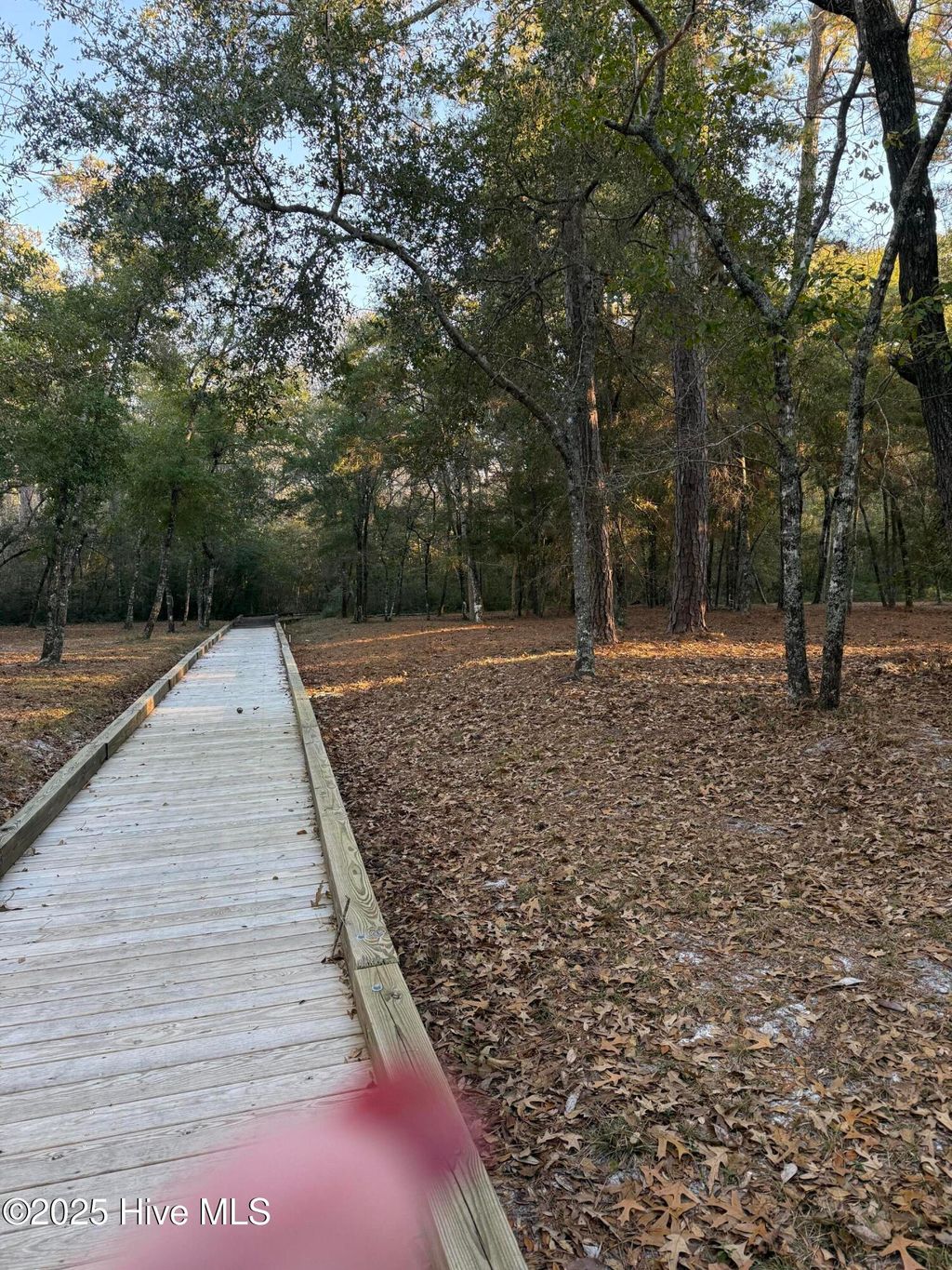 Photo of 625 Edmonston Drive SW, Supply, NC 28462 (MLS # 100483452)