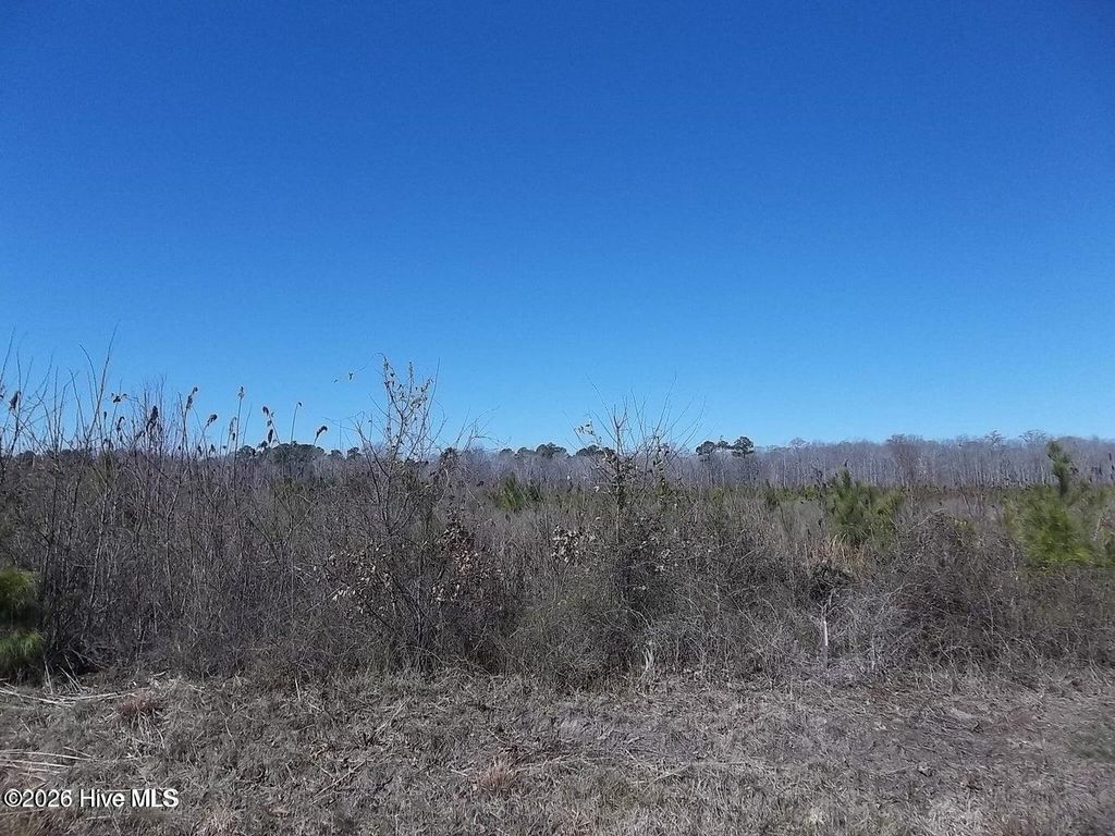 Photo of Tbd Boat Ramp Road, New Hope, NC 27944 (MLS # 100575240)