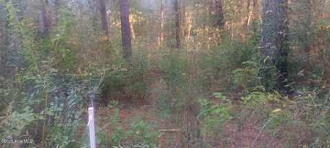 Tiny photo for 0 Hwy 53, Burgaw, NC 28425 (MLS # 100537472)