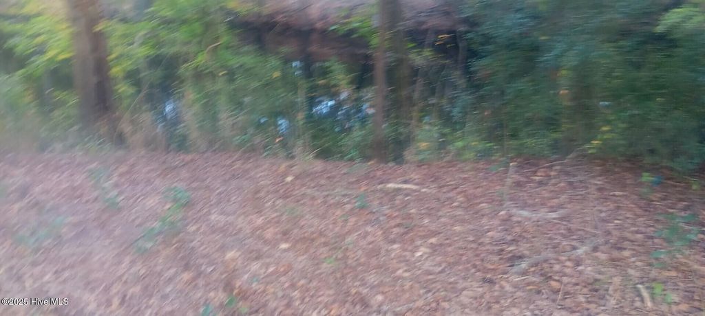 Photo of 0 Hwy 53, Burgaw, NC 28425 (MLS # 100537472)