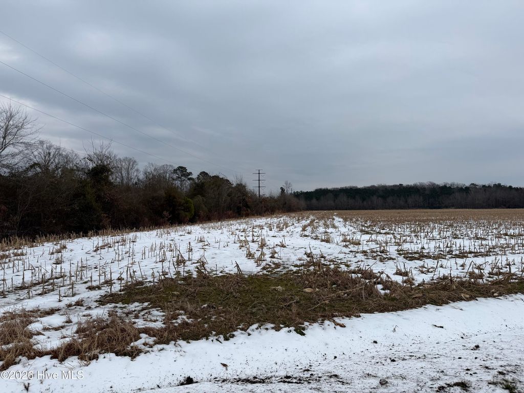 Photo of 2 Beasley Road, Roper, NC 27970 (MLS # 100553356)