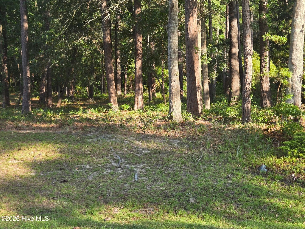 Photo of 3840 Timber Stream Drive, Southport, NC 28461 (MLS # 100579769)