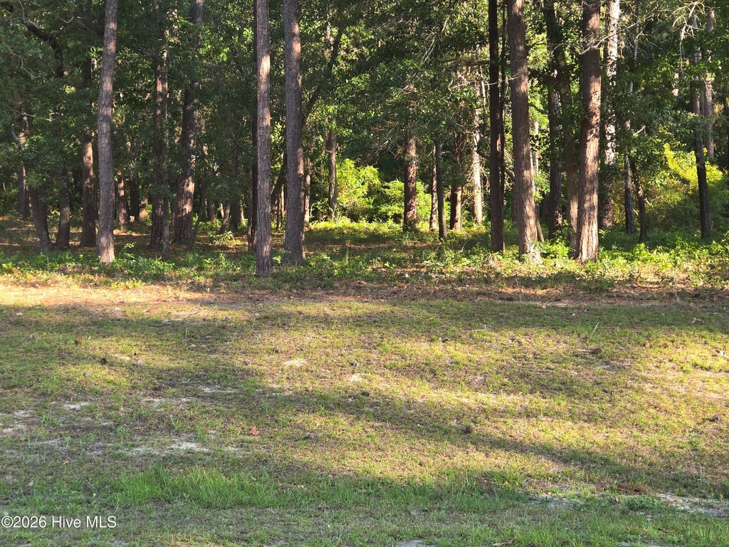 Photo of 3840 Timber Stream Drive, Southport, NC 28461 (MLS # 100579769)