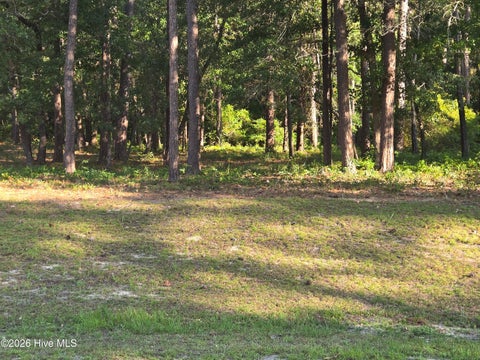 Vacant Land For Sale - 3840 Timber Stream Drive<br/> Southport, NC 28461