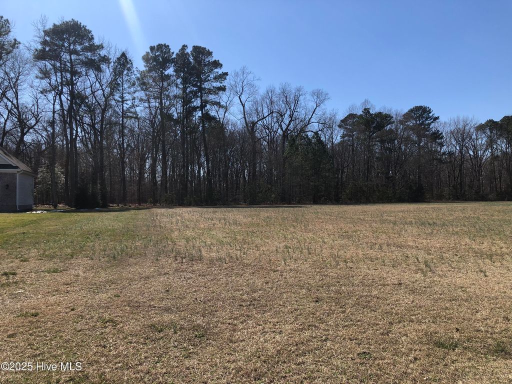 Photo of 672 Chimney Hill Way, Rocky Mount, NC 27804 (MLS # 100491770)