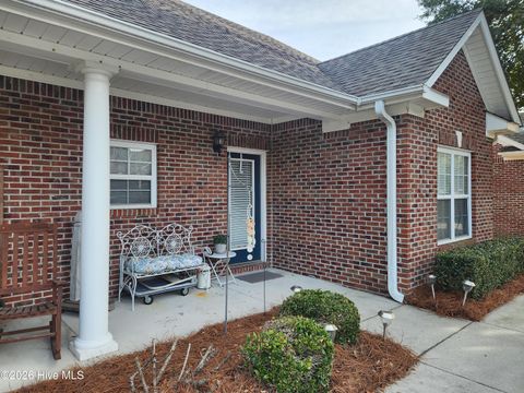 Photo of 216 Eucalyptus Lane, Wilmington, NC 28412 (MLS # 100549020)