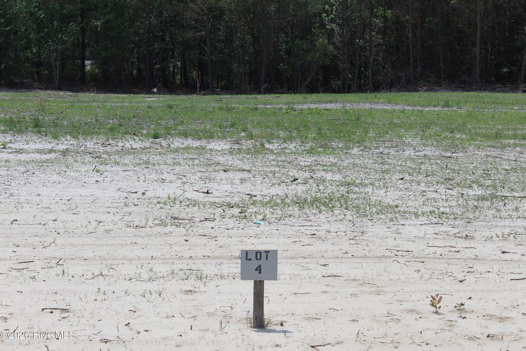 Photo of 944 Blind Bridge Road, Magnolia, NC 28453 (MLS # 100569714)