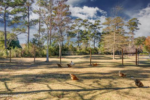 Tiny photo for 102 Plantation Drive, Swansboro, NC 28584 (MLS # 100544948)