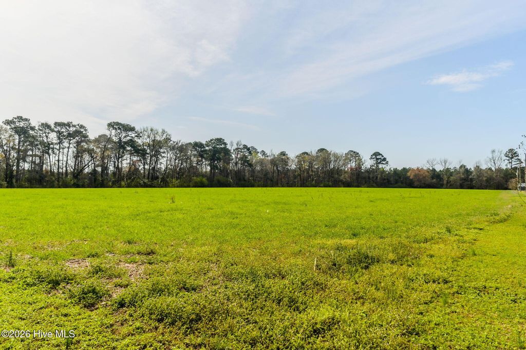 Photo of 0 Gourd Hill Road, Wallace, NC 28466 (MLS # 100561529)