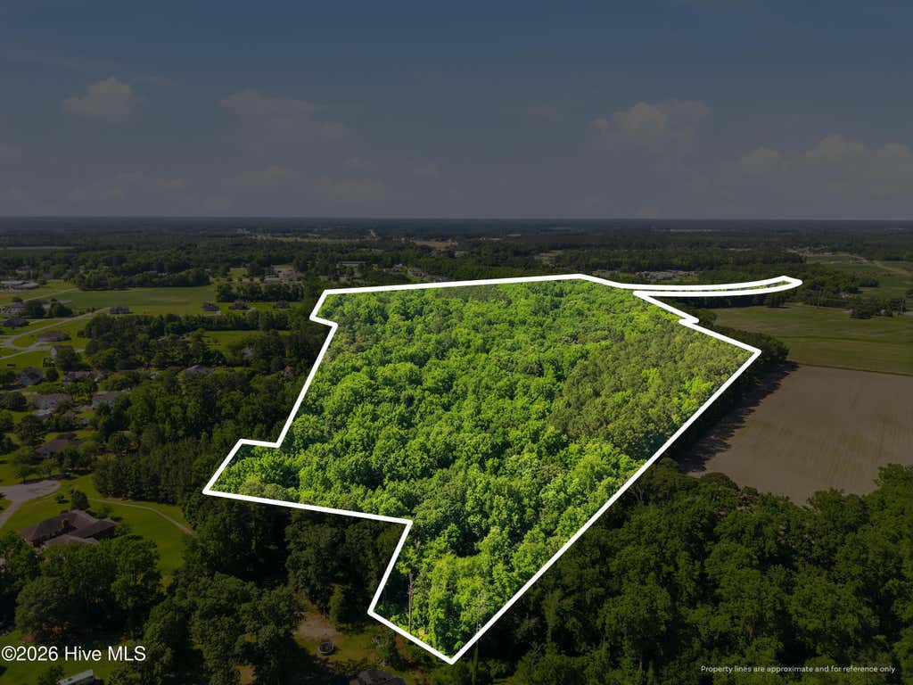 Photo of 0 North Carolina 43 Highway S, Greenville, NC 27858 (MLS # 100578561)