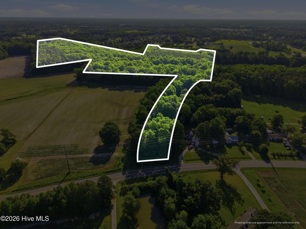 Photo of 0 North Carolina 43 Highway S, Greenville, NC 27858 (MLS # 100578561)