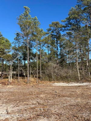 136 CORRAL DR, WINNABOW, NC 28479 - Image b285aa9c6a92eb8a0acd30fc0044ec83/4251168879
