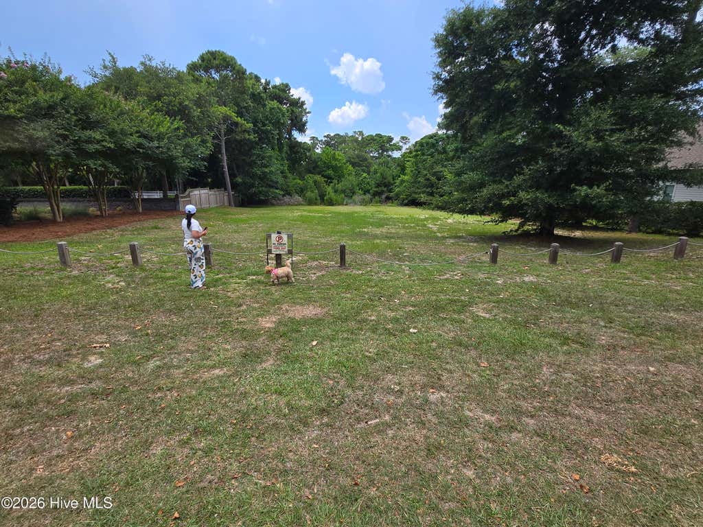 Photo of 8205 Bald Eagle Lane, Wilmington, NC 28411 (MLS # 100585001)