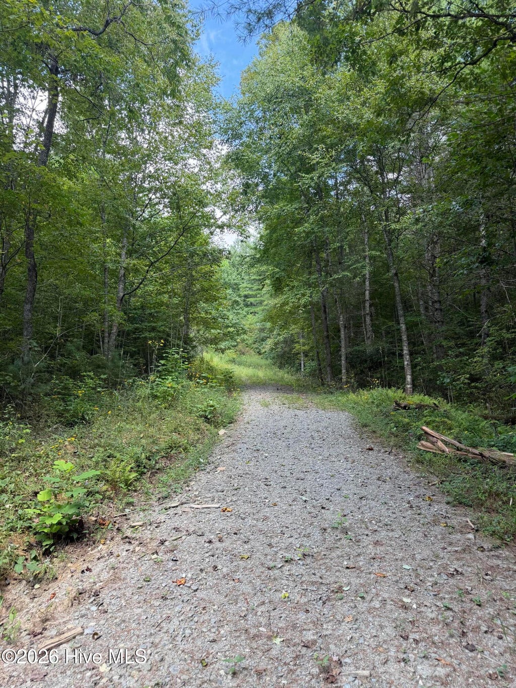 Photo of 77 Kudzu Creek Trail Trail, Murphy, NC 28906 (MLS # 100602752)