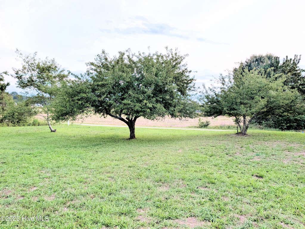 Photo of 0 Sorietown Road, Enfield, NC 27823 (MLS # 100587857)