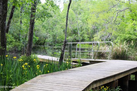 Tiny photo for 44 Strut Way, Rocky Point, NC 28457 (MLS # 100568401)