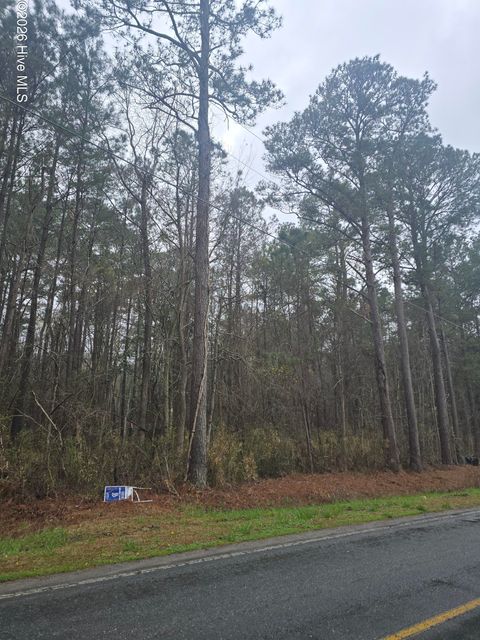 Tiny photo for 8 Jim Blake Road, Jacksonville, NC 28540 (MLS # 100560552)