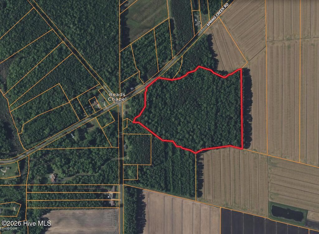 Photo of 0 Spring Creek Road, Aurora, NC 27806 (MLS # 100547818)