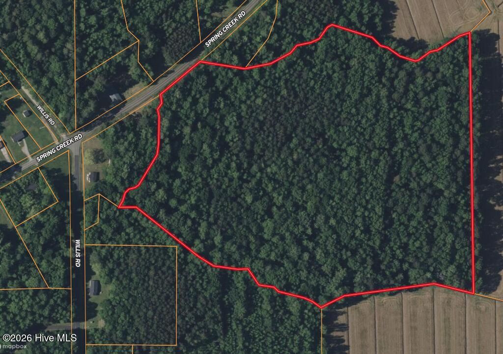 Photo of 0 Spring Creek Road, Aurora, NC 27806 (MLS # 100547818)