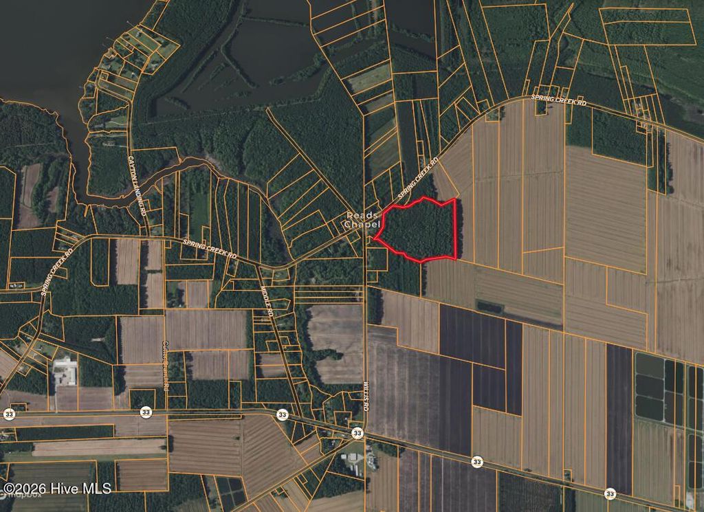 Photo of 0 Spring Creek Road, Aurora, NC 27806 (MLS # 100547818)