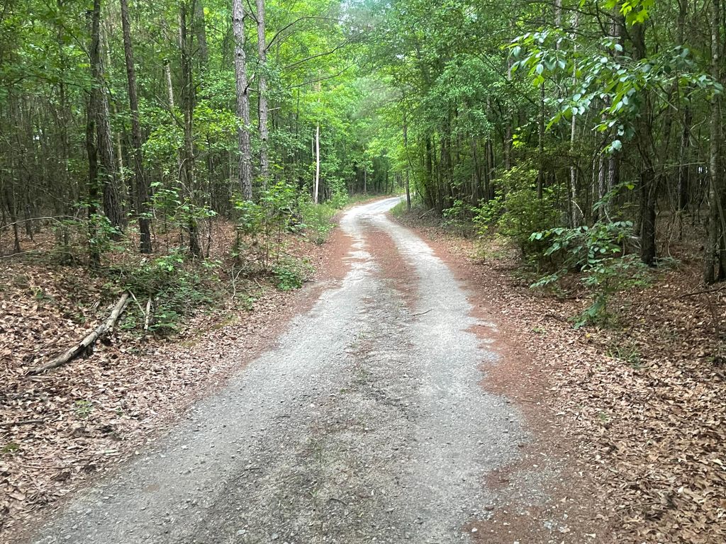 Photo of 1716 Ranger Road, Warrenton, GA 30828 (MLS # 555394)