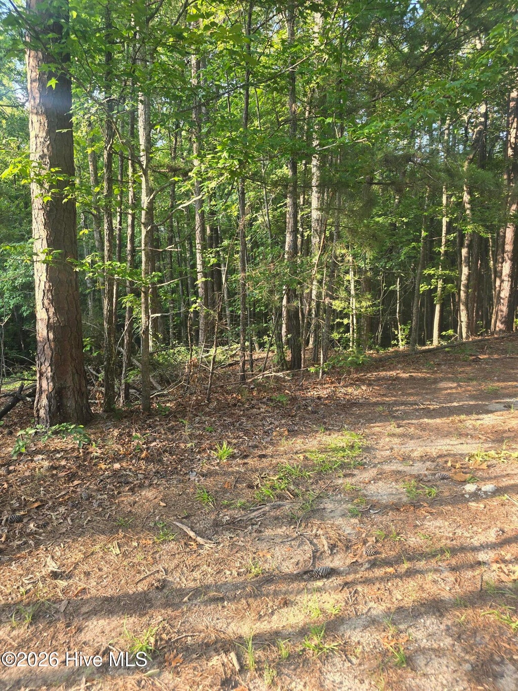 Photo of 151 Southwind Drive, McCormick, SC 29835 (MLS # 100588997)