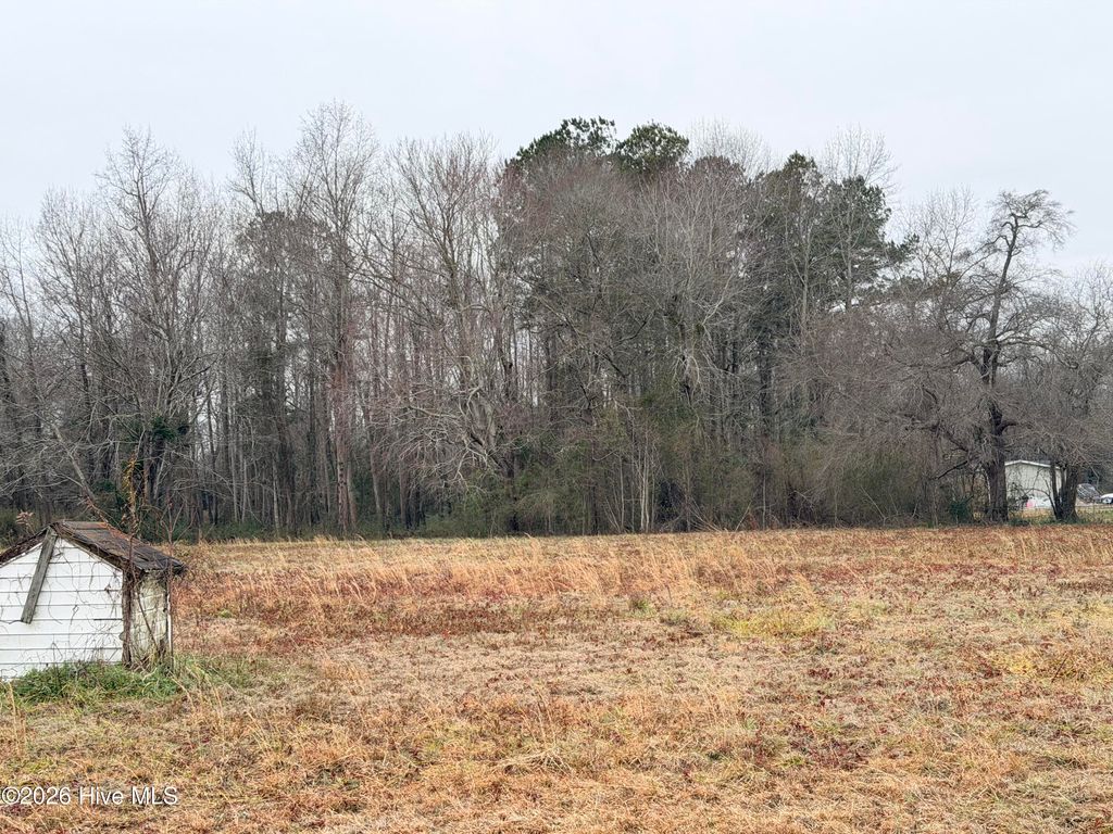 Photo of 26 New Hope Street, Whiteville, NC 28472 (MLS # 100553304)