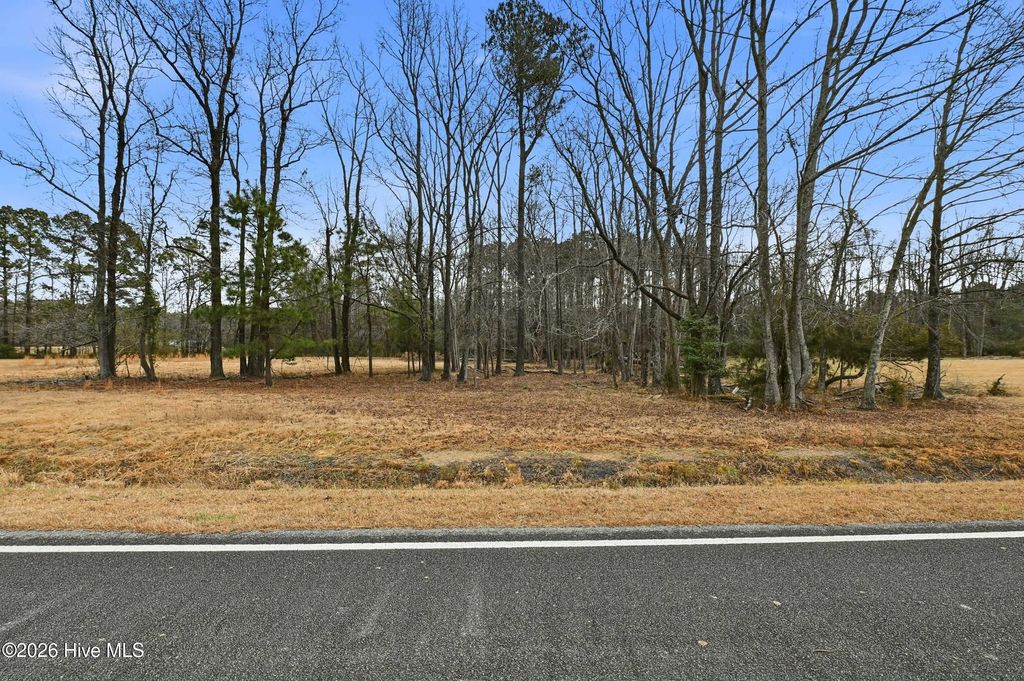 Photo of 3566 Red Store Road, Whiteville, NC 28472 (MLS # 100552843)